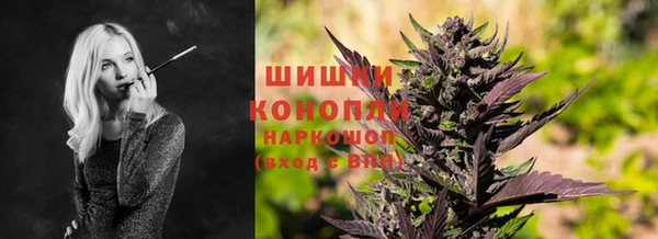 спиды Медногорск