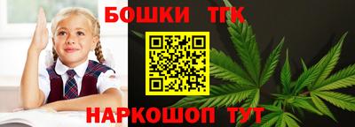 сатива Аргун
