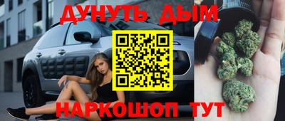 молекула духа Будённовск