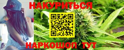 сатива Аргун