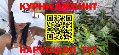 сатива Аргун