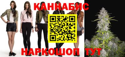 сатива Аргун