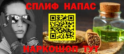 молекула духа Будённовск