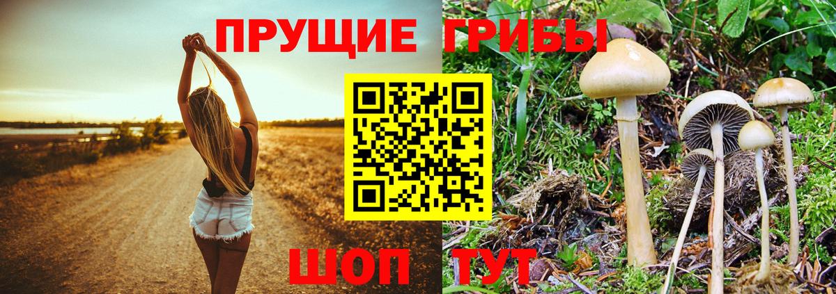 Галлюциногенные грибы Cubensis  Воронеж  Галлюциногенные грибы Cubensis 