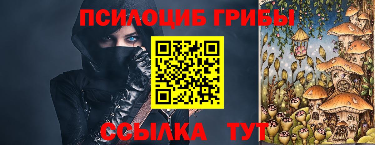 Псилоцибиновые грибы Psilocybe  Вход с VPN  как найти   Воронеж 